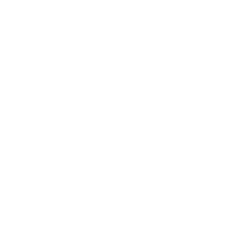 Fire icon