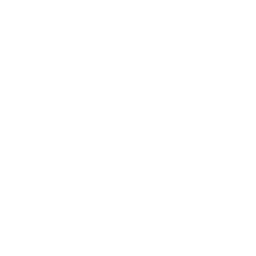 Sterling pound icon